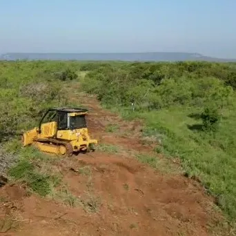 Fence Line Clearing