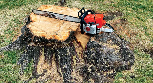 Stump Removal